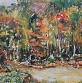 Forest Path