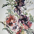 Red and Violet Flowers